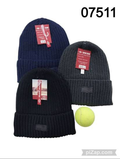 Imagen de GORRO ALPINE SKATE 22X20CM 3.26